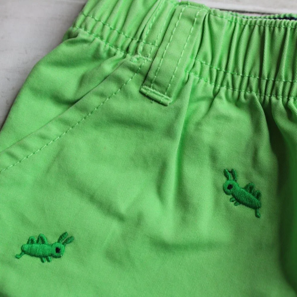 Gymboree Baby Boy Plaid Shorts Shirts Size 6-12 Months Lot Grasshopper